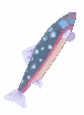 Briny Argus